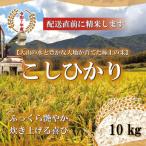 令和7年 山崎農園こしひかり10kg