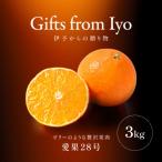 愛果28号 紅まどんなと同一品種