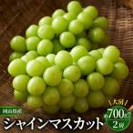 シャインマスカット 大房 約700g×2房
