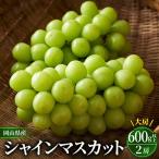 シャインマスカット 晴王 2房 1房600g以上