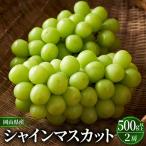 岡山 花笑み農園のシャインマスカット 500g以上