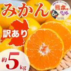 訳あり みかん サイズミックス 3S~3L 約5kg
