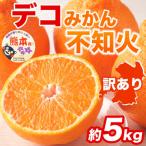 訳あり 不知火 濃厚な甘み と爽やかな酸味
