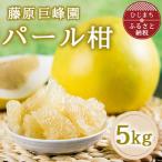 甘夏5kg