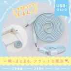 マグネットフラットケーブル PD240W対応