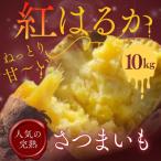 < 分 受付中 >紅はるか 生芋 10kg