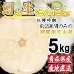 厳選 幻の生にんにく 5kg