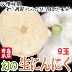 fu.... налог 10 мир рисовое поле город Aomori префектура производство тщательно отобранный иллюзия. сырой чеснок 9 шар .. после 2 -недельный . ограничение отгрузка! размер смешивание (M~2L размер )