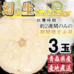 厳選 幻の生にんにく 3玉