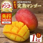 指宿産 完熟マンゴー約1kg IB163-003