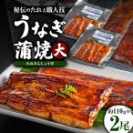 うなぎ蒲焼真空パック 大 2尾入