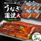 うなぎ蒲焼真空パック 大 5尾入