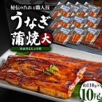 うなぎ蒲焼真空パック 大 10尾入