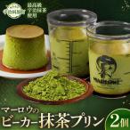 葉山ビーカープリン マーロウ 宇治抹茶プリン