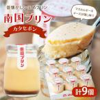 南国プリン テゲセボン 計9個
