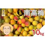 完熟 南高梅 約10kg