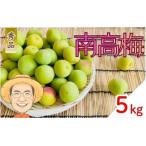 南高梅 約5kg