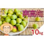 南高梅 約10kg