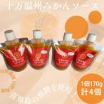 十万温州みかんソース 計4本