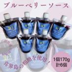 ブルーベリーソース 計6本