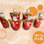 十万みかんソース 計6本