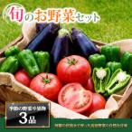 季節のお野菜セットS 旬のお野菜や果物の中から3品を厳選し…