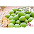 古城梅 約3kg