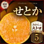 星乃せとか 柑橘の大トロ 5kg