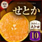 柑橘の大トロ 10kg