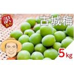 古城梅 約5kg