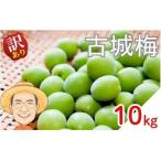 古城梅 約10kg