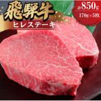 飛騨牛 ヒレ 170g
