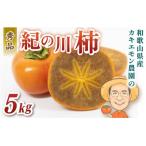 紀の川柿 約5kg