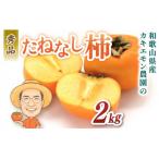 秀品 たねなし柿 約2kg