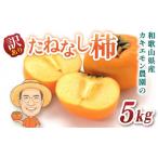 柿 たねなし柿 約5kg