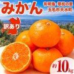 訳あり 果汁溢れる みかん サイズミックス