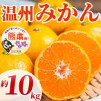 高糖度でジューシー 温州みかん 2S~2L 約10kg