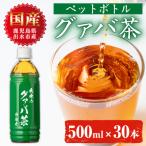 i1137-B グァバ茶PET 神秘也 500ml×30本