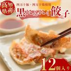 黒にんにくと四万十豚で作った最高級餃子