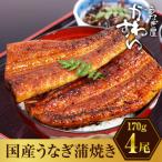 うなぎ蒲焼4尾セット 総量680g以上