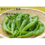 甘くて美味しい 京のブランド産品 万願寺甘とう