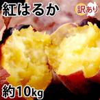 訳あり紅はるか 約10kg