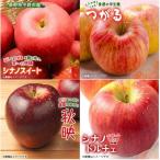 季節のリンゴ 1ケース約4.8kg