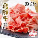 切り落とし 250g×4