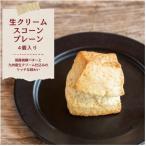 発酵バターかおる生クリームスコーンプレーン
