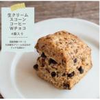 発酵バターかおる生クリームスコーン コーヒーWチョコ