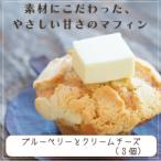 バター仕込みのマフィン ブルーベリーとクリームチーズ