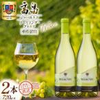 ワイン 白 高畠ジャパネスク リースリング フォルテ やや甘口 720ml 2本 セット