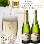 ワイン 白 嘉スパークリング スウィート オレンジマスカット 750ml 2本 セット