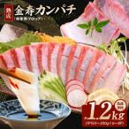 冷凍熟成金寿カンパチ1200g 刺身用ブロック
